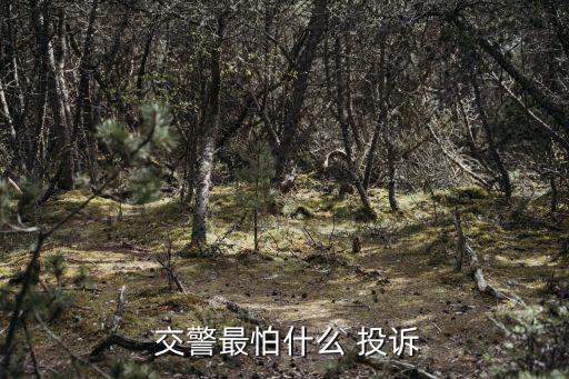  交警最怕什么 投訴
