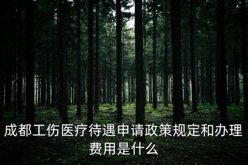 成都工傷醫療待遇申請政策規定和辦理費用是什么