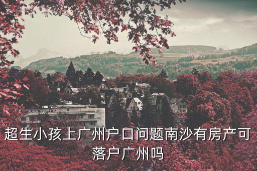 超生小孩上廣州戶口問題南沙有房產(chǎn)可落戶廣州嗎