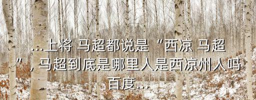 ...上將 馬超都說是“西涼 馬超”, 馬超到底是哪里人是西涼州人嗎百度...