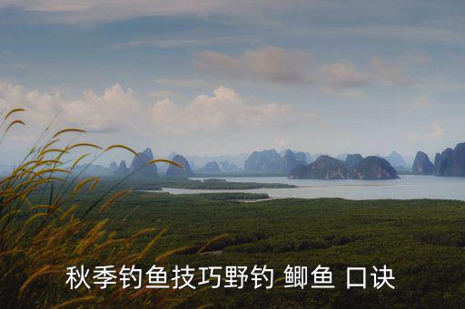 秋季釣魚技巧野釣 鯽魚 口訣