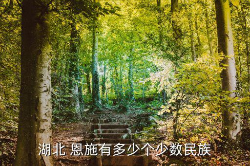 恩施土家族,湖北恩施土司城現人龍28個民族