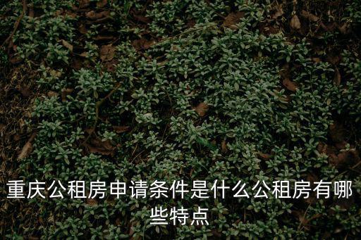 重慶公租房申請條件是什么公租房有哪些特點(diǎn)