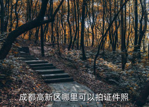 成都高新區哪里可以拍證件照