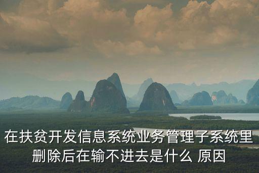 在扶貧開發信息系統業務管理子系統里刪除后在輸不進去是什么 原因