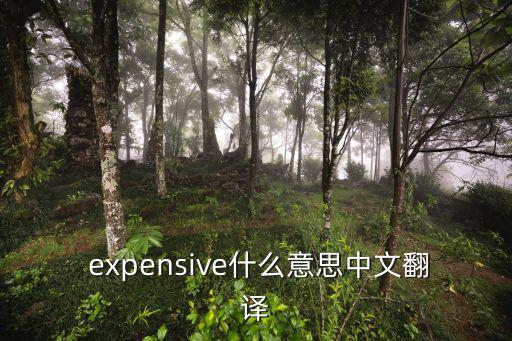  expensive什么意思中文翻譯