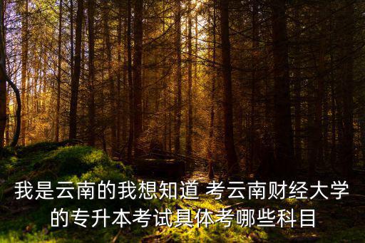 我是云南的我想知道 考云南財經大學的專升本考試具體考哪些科目