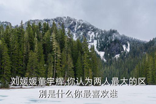  劉媛媛董宇輝,你認為兩人最大的區別是什么你最喜歡誰