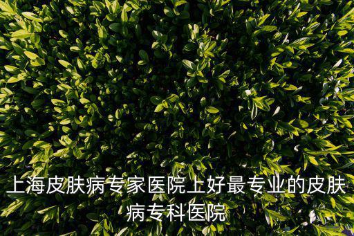 上海皮膚病專家醫(yī)院上好最專業(yè)的皮膚病專科醫(yī)院
