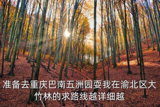 重慶市渝北區大竹林規劃圖，重慶渝北區大竹林這個地方怎么樣從那面怎么到沙坪壩