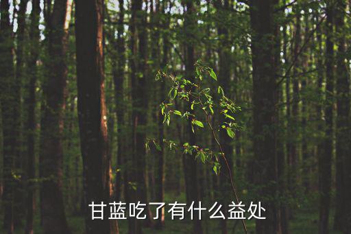  甘藍吃了有什么益處