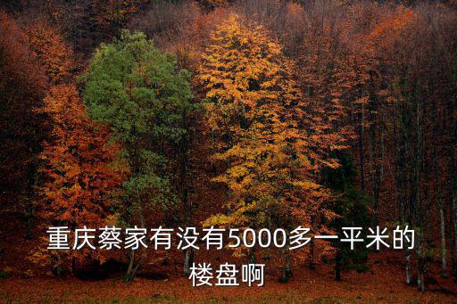 重慶市蔡家萬科觀景房產(chǎn)介紹，重慶有沒有房地產(chǎn)介紹中心呢