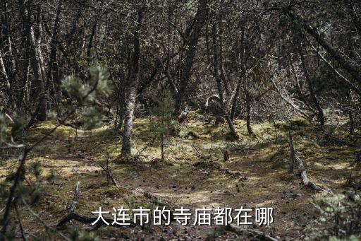 大連朝陽寺,中國長江以北最大的佛教寺廟之一