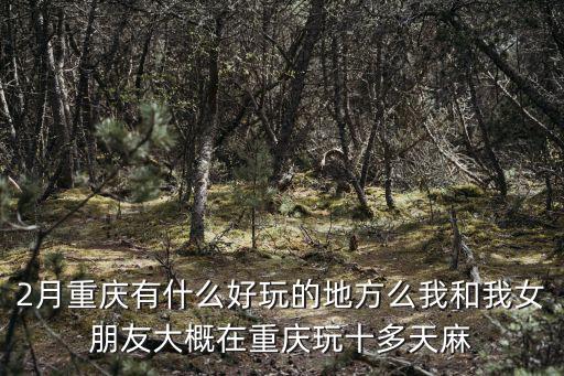 2月重慶有什么好玩的地方么我和我女朋友大概在重慶玩十多天麻