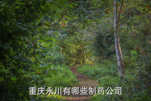 重慶永川有哪些制藥公司