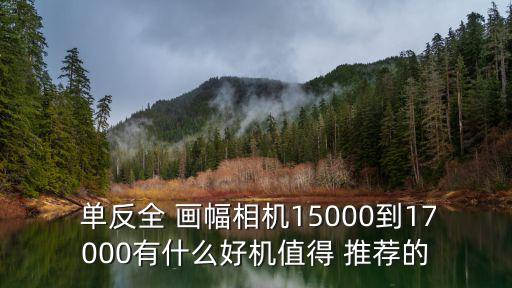 全畫幅單反推薦,數碼單反相冊推薦