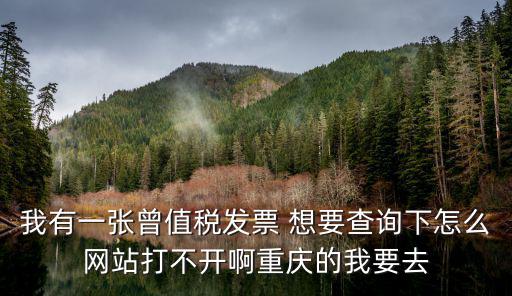 我有一張?jiān)刀惏l(fā)票 想要查詢下怎么網(wǎng)站打不開啊重慶的我要去