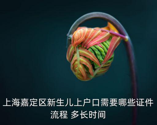 上海嘉定區新生兒上戶口需要哪些證件流程 多長時間