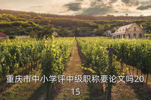 重慶市中小學評中級職稱要論文嗎2015
