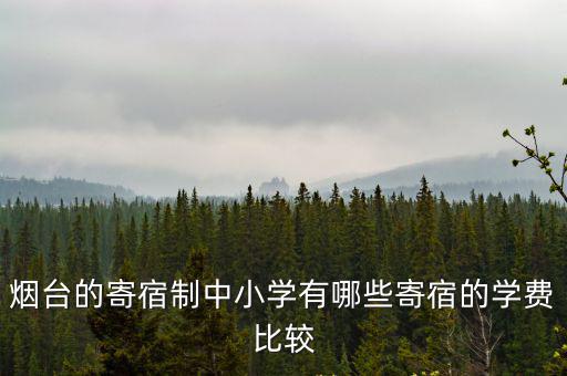 煙臺(tái)的寄宿制中小學(xué)有哪些寄宿的學(xué)費(fèi)比較