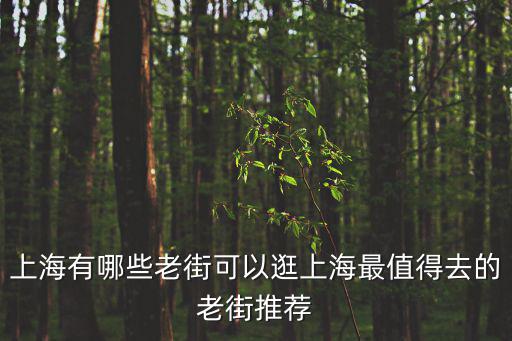 上海有哪些老街可以逛上海最值得去的老街推薦