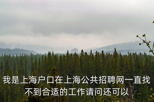 我是上海戶口在上海公共招聘網一直找不到合適的工作請問還可以