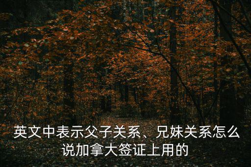  英文中表示父子關(guān)系、兄妹關(guān)系怎么說(shuō)加拿大簽證上用的