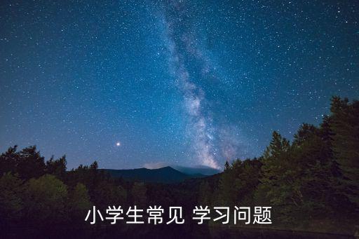 小學(xué)生常見 學(xué)習(xí)問(wèn)題