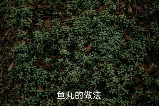魚丸子的做法,怎么做魚丸?先別忘了這六步!