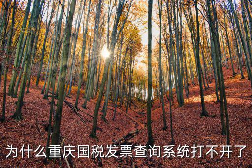 為什么重慶國稅發(fā)票查詢系統(tǒng)打不開了