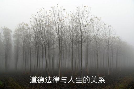 道德法,《中華人民共和國憲法》第五條禁止與憲法相抵觸法律