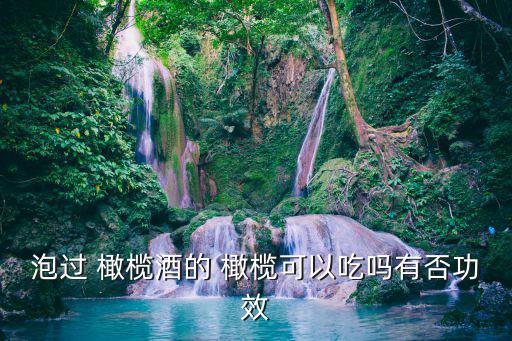 泡過 橄欖酒的 橄欖可以吃嗎有否功效