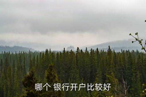 什么銀行好,銀行開戶需出示身份證和證券賬戶卡原件及復(fù)印件