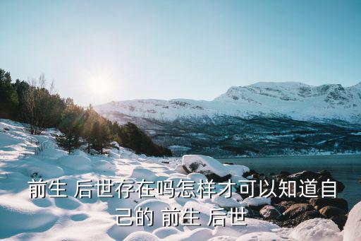 前生后世,維斯博士新書可網(wǎng)上搜索電子版