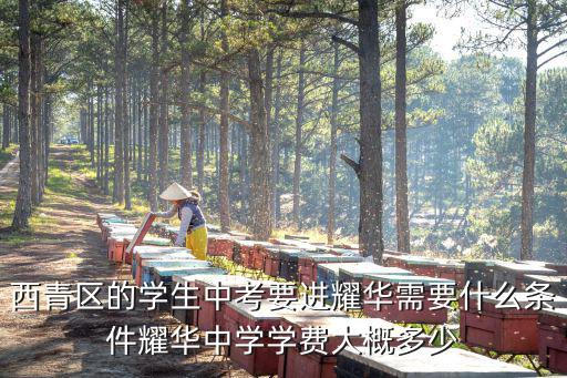 西青區的學生中考要進耀華需要什么條件耀華中學學費大概多少