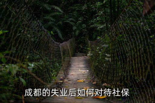 成都的失業(yè)后如何對(duì)待社保
