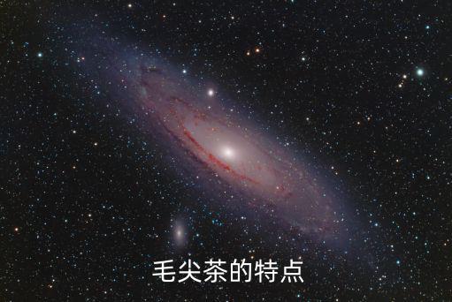 毛尖的功效與作用,本地兩款新加坡毛峰茶口感更好