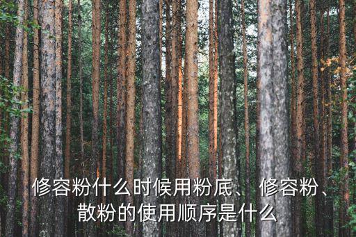  修容粉什么時候用粉底、 修容粉、散粉的使用順序是什么