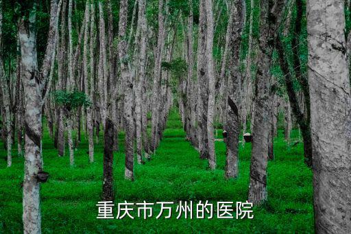 重慶市萬州的醫(yī)院