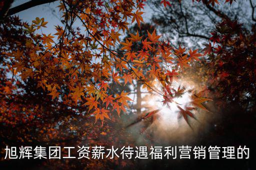 旭輝集團工資薪水待遇福利營銷管理的