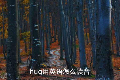 hug用英語怎么讀音