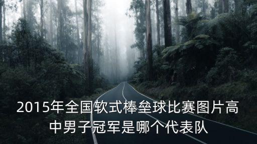 2015年全國軟式棒壘球比賽圖片高中男子冠軍是哪個代表隊