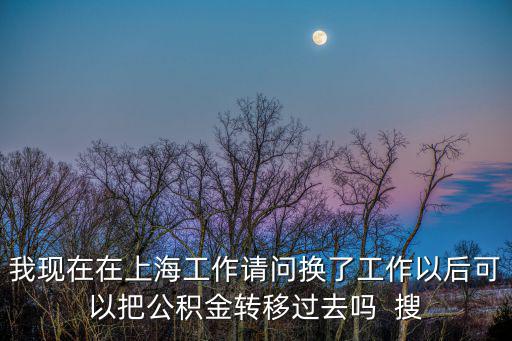 我現(xiàn)在在上海工作請問換了工作以后可以把公積金轉(zhuǎn)移過去嗎  搜