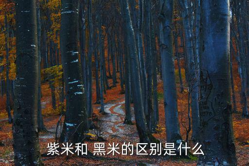  紫米和 黑米的區別是什么