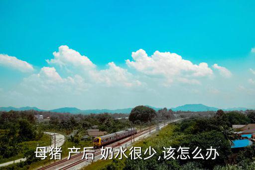 產后沒奶水怎么辦,產后母豬奶水不足怎么辦?可打催產素