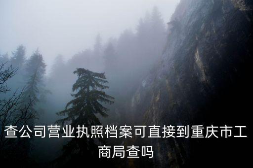 查公司營業執照檔案可直接到重慶市工商局查嗎