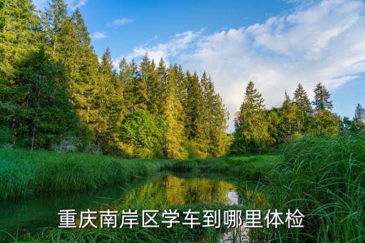 重慶南岸區學車到哪里體檢
