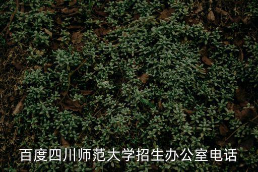百度四川師范大學招生辦公室電話