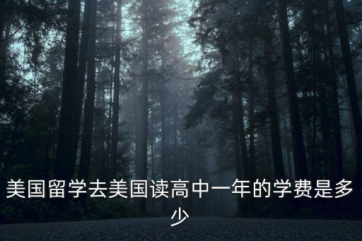 美國(guó)留學(xué)去美國(guó)讀高中一年的學(xué)費(fèi)是多少