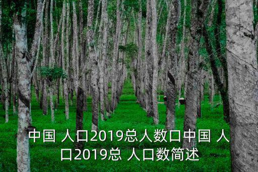 中國 人口2019總人數口中國 人口2019總 人口數簡述